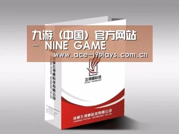 项目名称十三