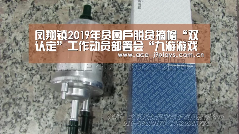 凤翔镇2019年贫困户脱贫摘帽“双认定”工作动员部署会“九游游戏盒子下载”(图3) 九游游戏中心手机版